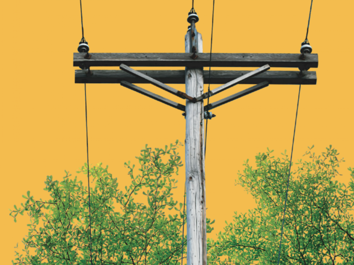 Powerline Safety Week Electrical power line running through leaves on a tree