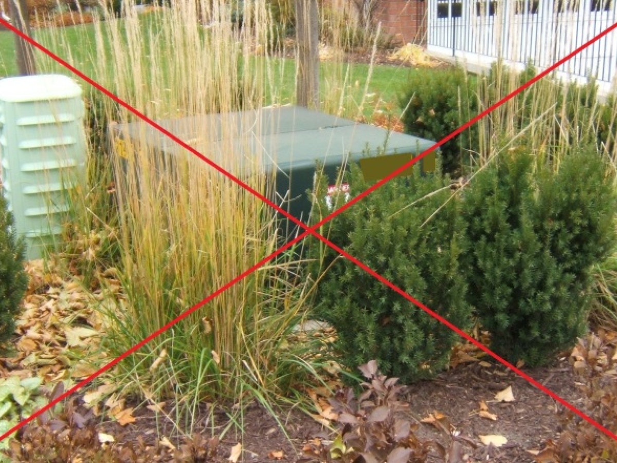 Pad-Mounted Transformer blocked by grass